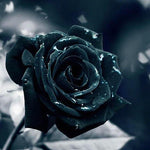 Broderie Diamant Belle Rose Noir