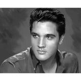 Broderie Diamant Elvis Presley